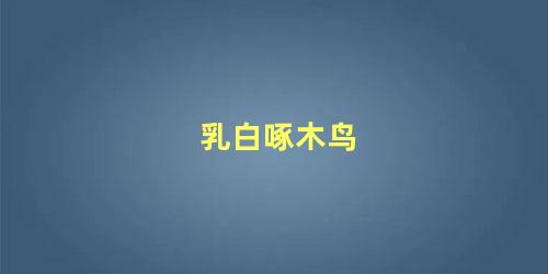乳白啄木鸟