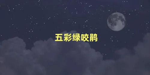 五彩绿咬鹃