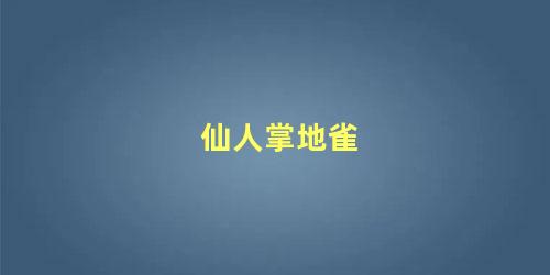 仙人掌地雀