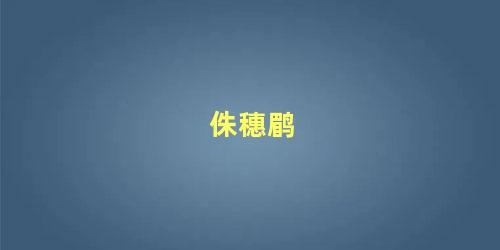 侏穗鹛