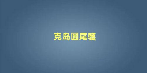 克岛圆尾鹱