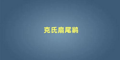 克氏扇尾鹟