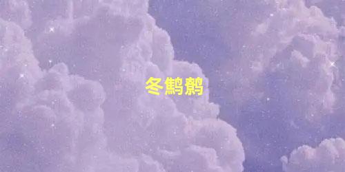 冬鹪鹩