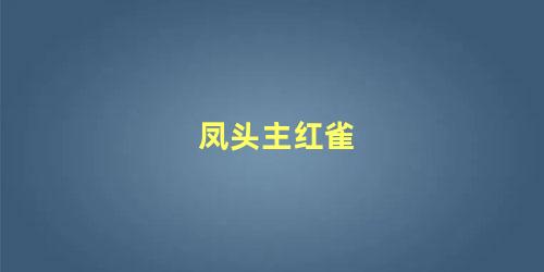 凤头主红雀