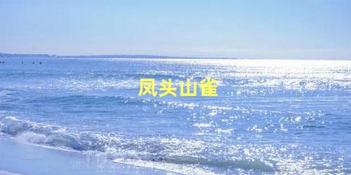 凤头山雀