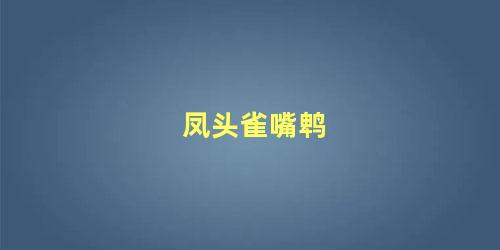 凤头雀嘴鹎