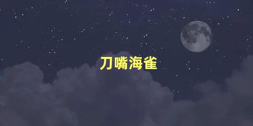 刀嘴海雀