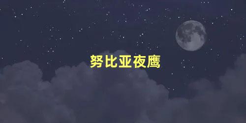 努比亚夜鹰