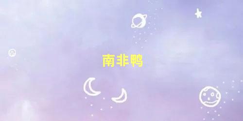 南非鸭