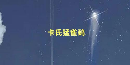 卡氏猛雀鹀