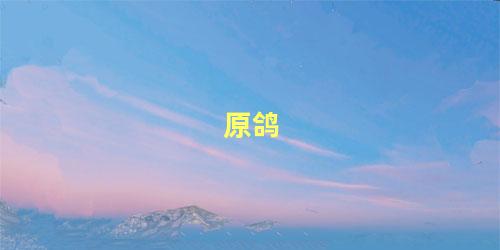 原鸽