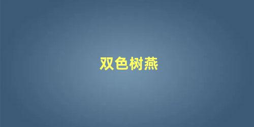 双色树燕