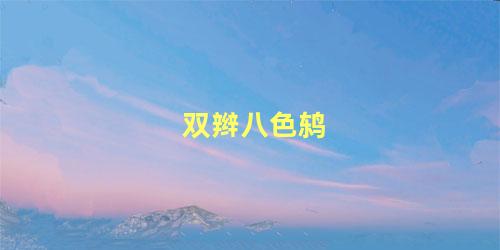 双辫八色鸫