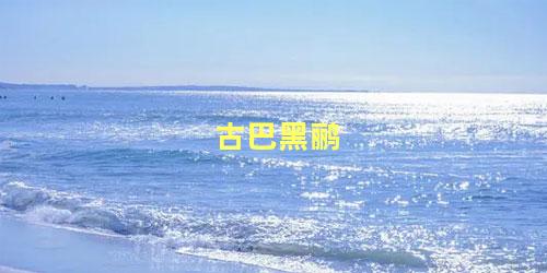 古巴黑鹂