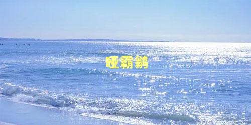 哑霸鹟