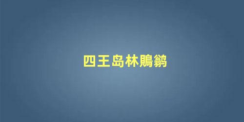 四王岛林鵙鹟