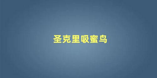 圣克里吸蜜鸟