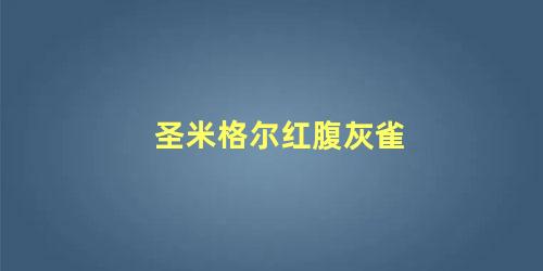 圣米格尔红腹灰雀