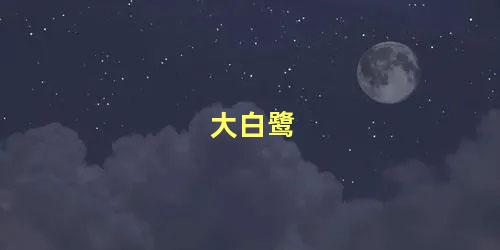 大白鹭