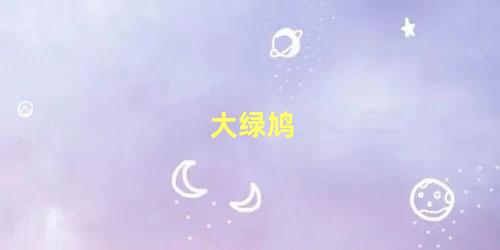 大绿鸠