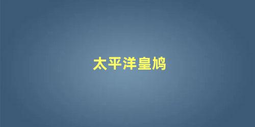 太平洋皇鸠