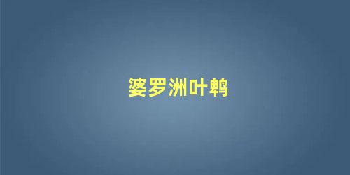 婆罗洲叶鹎