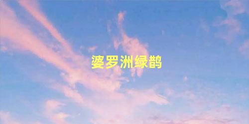 婆罗洲绿鹊