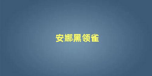 安娜黑领雀