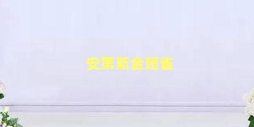 安第斯金翅雀