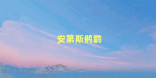 安第斯鸺鹠