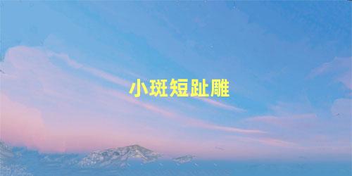 小斑短趾雕