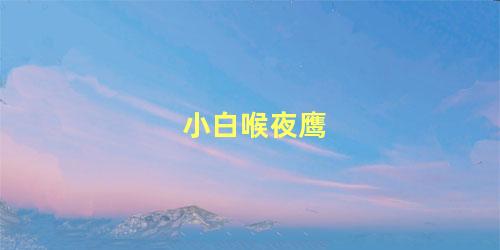 小白喉夜鹰