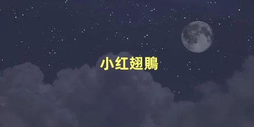 小红翅鵙