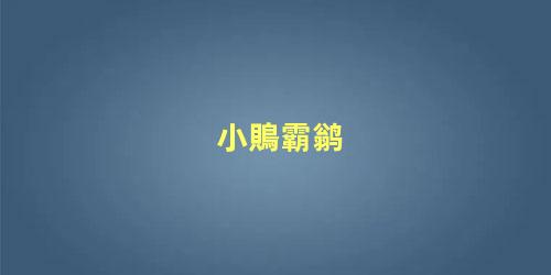 小鵙霸鹟