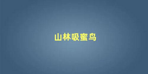 山林吸蜜鸟