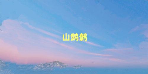 山鹪鹩