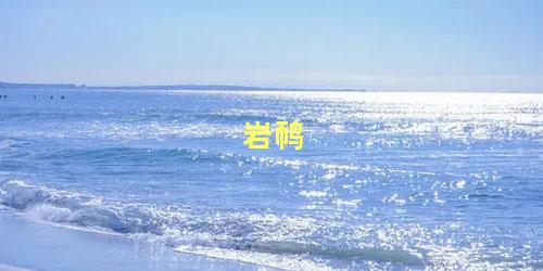 岩䴓