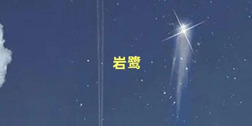 岩鹭