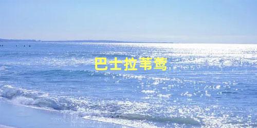 巴士拉苇莺