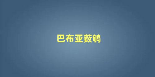 巴布亚薮鸲