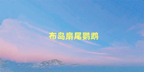 布岛扇尾鹦鹉