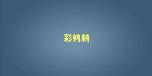 彩鹑鸫