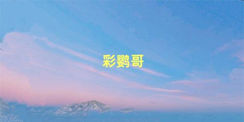 彩鹦哥