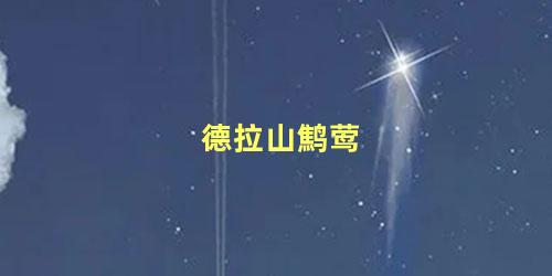 德拉山鹪莺
