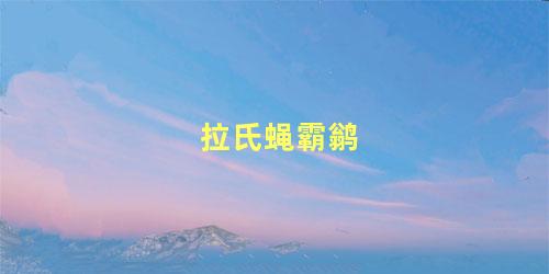 拉氏蝇霸鹟