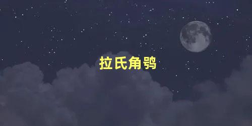 拉氏角鸮
