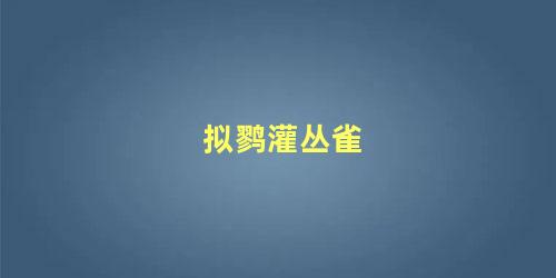 拟鹨灌丛雀