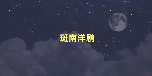 斑南洋鹛