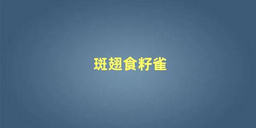 斑翅食籽雀