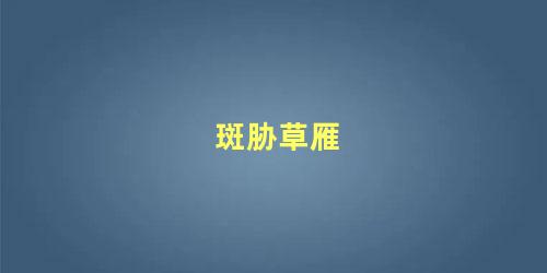 斑胁草雁